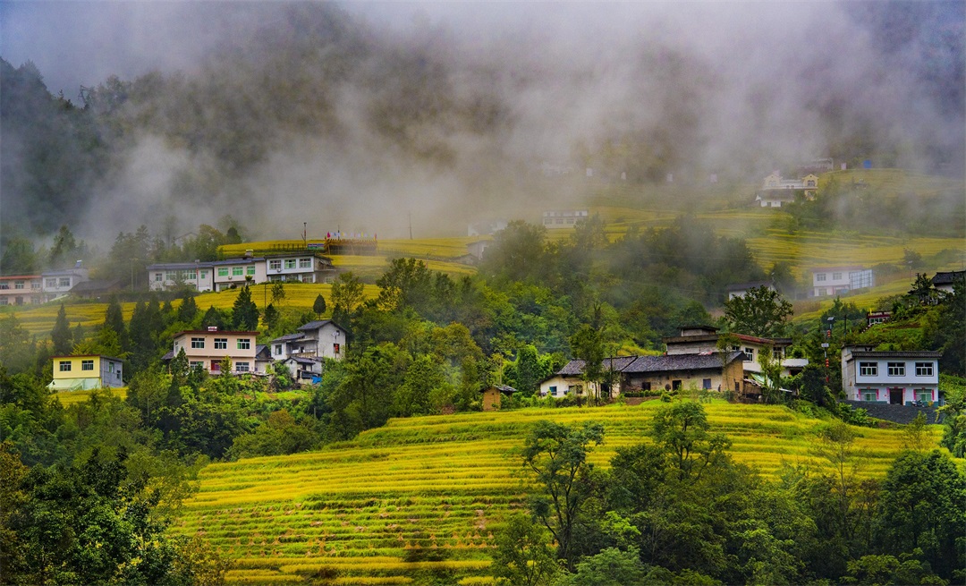 1623722142140571.jpg 1.jpg