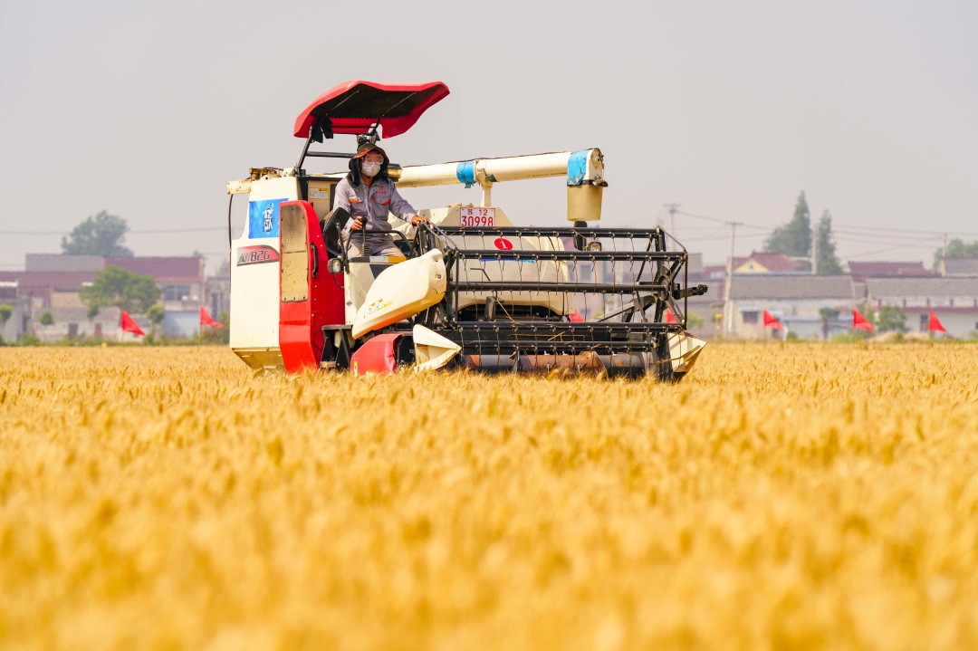 1623726376298468.jpg 6.jpg