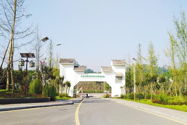 威遠(yuǎn)無(wú)花果博覽園