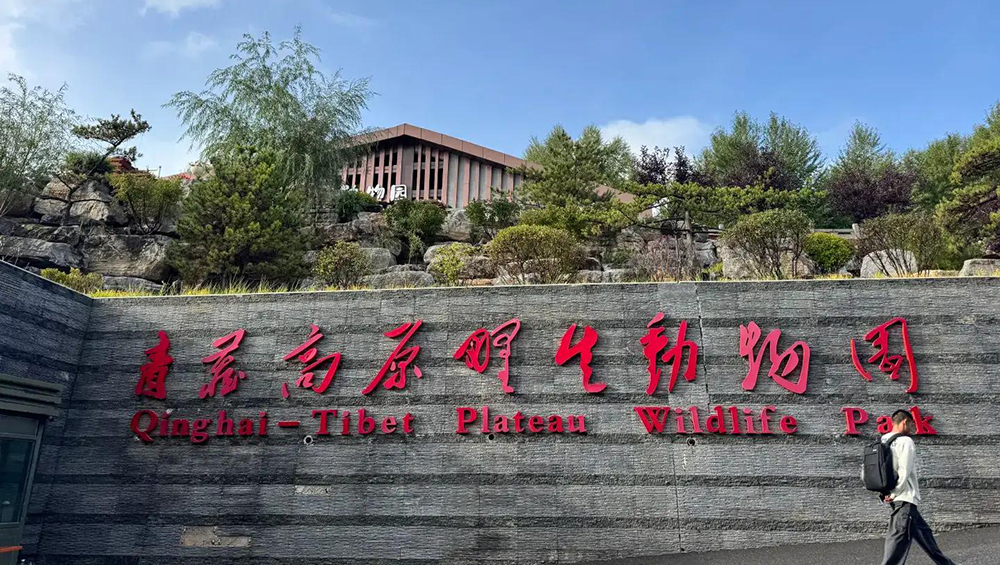 青藏高原野生動(dòng)物園.jpg
